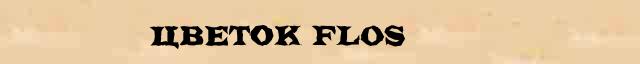 Цветок (flos) краткая биография(статья) в универсальной энциклопедии Ф. А. Брокгауз — И. А. Ефрон 